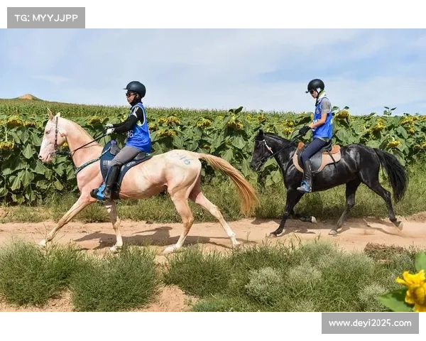 全国青少年锦标赛加强马匹护照核验未注册马匹将禁赛引发俱乐部自查潮